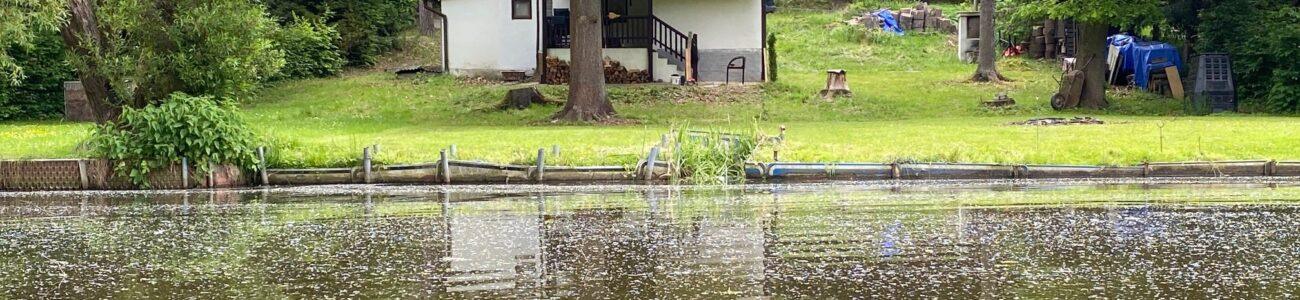 Chata U Lužnice – Kořensko III – Koloděje nad Lužnicí